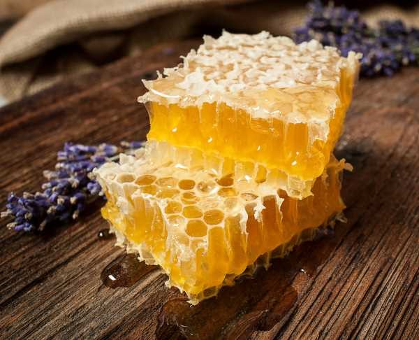 2 blocks of natural comb honey