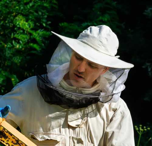 Beekeeper Hats, Hoods & Veils: Options & Considerations For Beekeepers