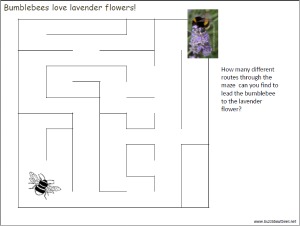 maze featuring a bumble bee that needs to find its way to lavender flower