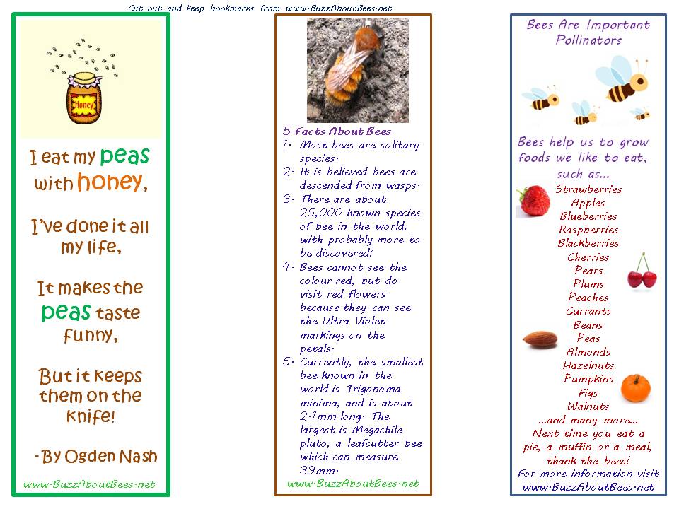 3 bee themed bookmarks - honey verse by Ogden Nash, facts about bees, bees are important pollinators