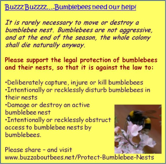 5 Reasons To Protect Bumblebee Nests 5 Reasons To Protect Bumblebee Nests