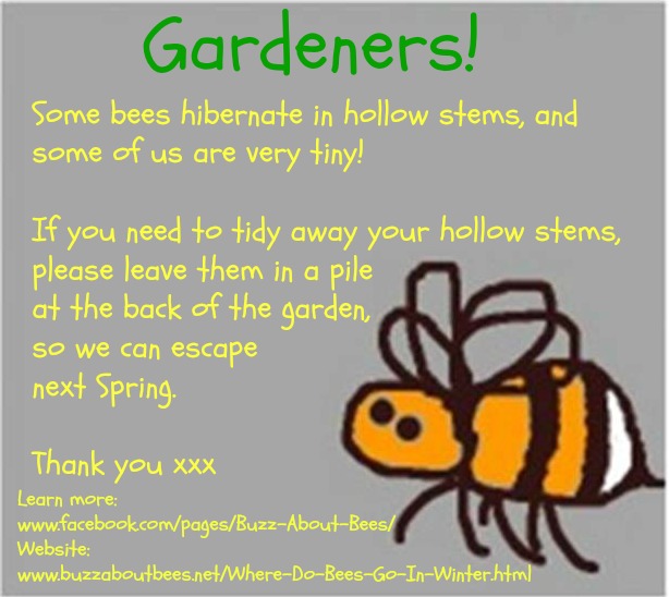 Free Bee Themed Posters To Download And Print