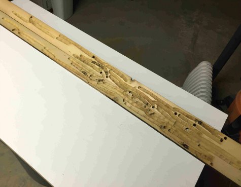 multiple carpenter bee hole and tunnels in wood plank