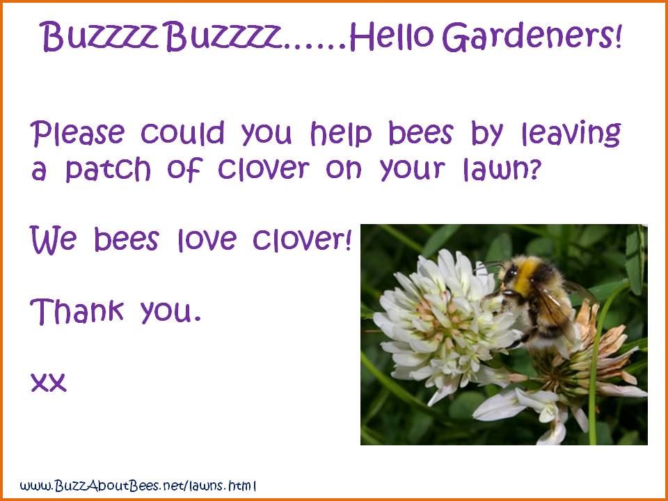 Free Bee Themed Posters To Download And Print Free Bee Themed Posters To Download And Print
