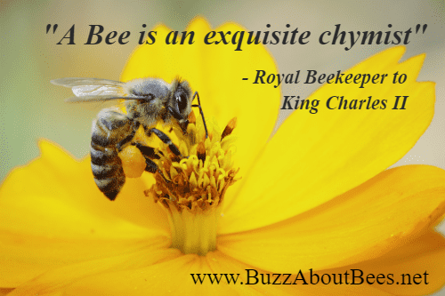 King Von Bee