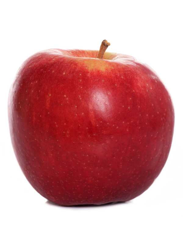 a single red apple
