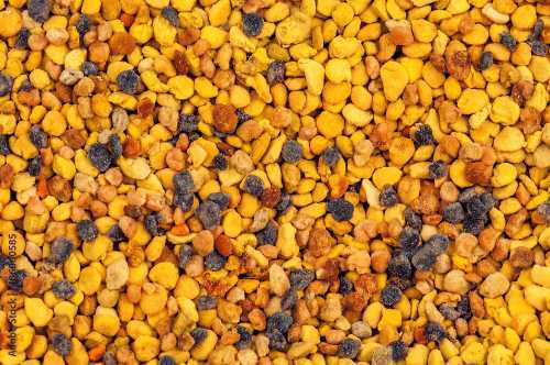 bee pollen granules bee pollen granules