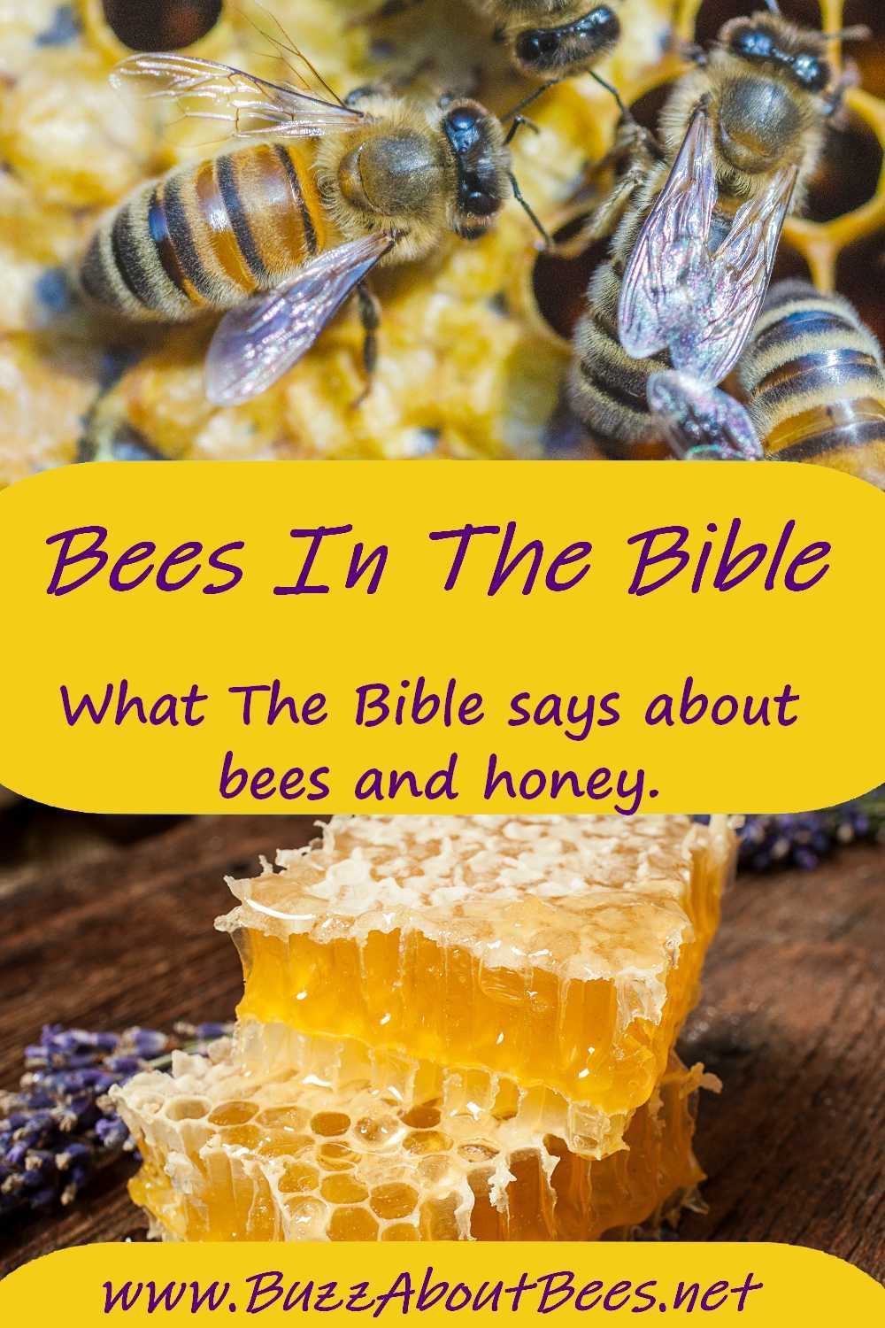 Bees In the Bible pin