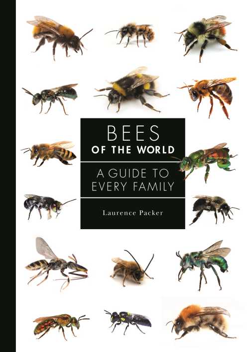 Bees Of The World by Laurence Packer book cover featuring coloured images of bees