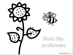 sunflower and bee with message 'bees like sunflowers' to color