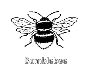 coloring pages og bees