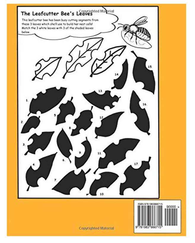 Buzzled Bee-Themed Children’s Book Of Puzzles: back cover showing a puzzle Buzzled Bee-Themed Children’s Book Of Puzzles: back cover showing a puzzle