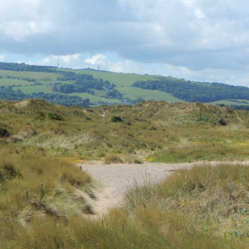 Grassy, sandy coastal area with dunes.