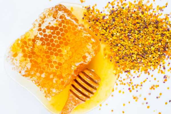 natural honeycomb and a wooden honey dipper