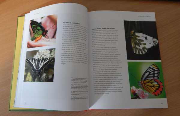 inside The Lives Of Butterflies book inside The Lives Of Butterflies book