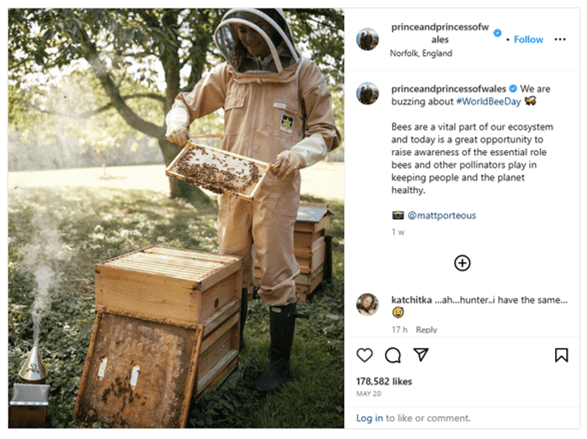 Princess of Wales Kate Middleton tending bees dressed in a beekeeping suit