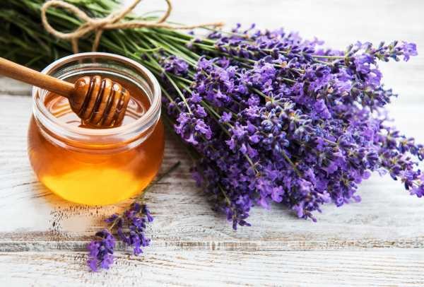a jar of clear honey and sprigs of blue lavendar flowers