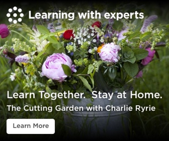 learn how to create a cutting garden online