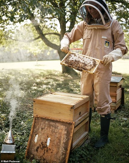 Princess of Wales beekeeping dressed in a beekeeping suit photograph by Matt Porteous