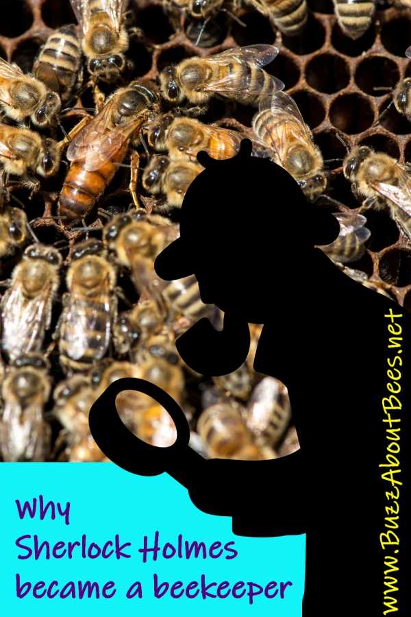 sherlock Holmes silhouette in front of an image of honey bees