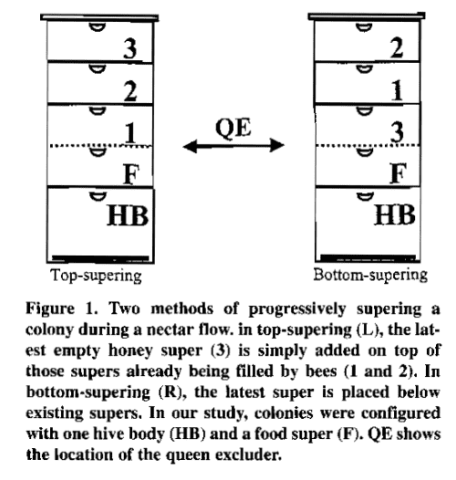 top supering and bottom supering diagram