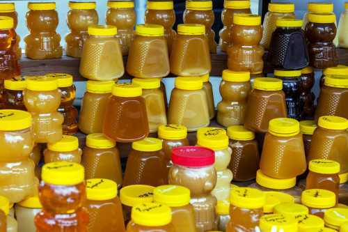 Selection of honeys of different colors, including very dark - almost black, in jars of different shapes and sizes