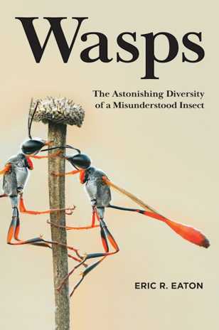 Wasps by Eric R Eaton Book Review book cover image Wasps by Eric R Eaton Book Review book cover image