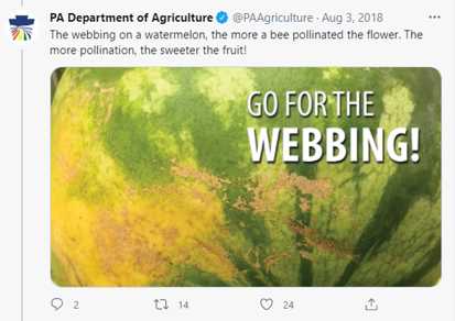 tweet from Pennsylvania Department Of Agriculture about marks on watermelons and bees, implying a link between them and sweetness