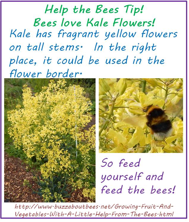 20 Simple Gardening Tips To Help Bees